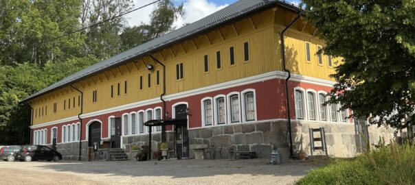 Vinterförvaring bil